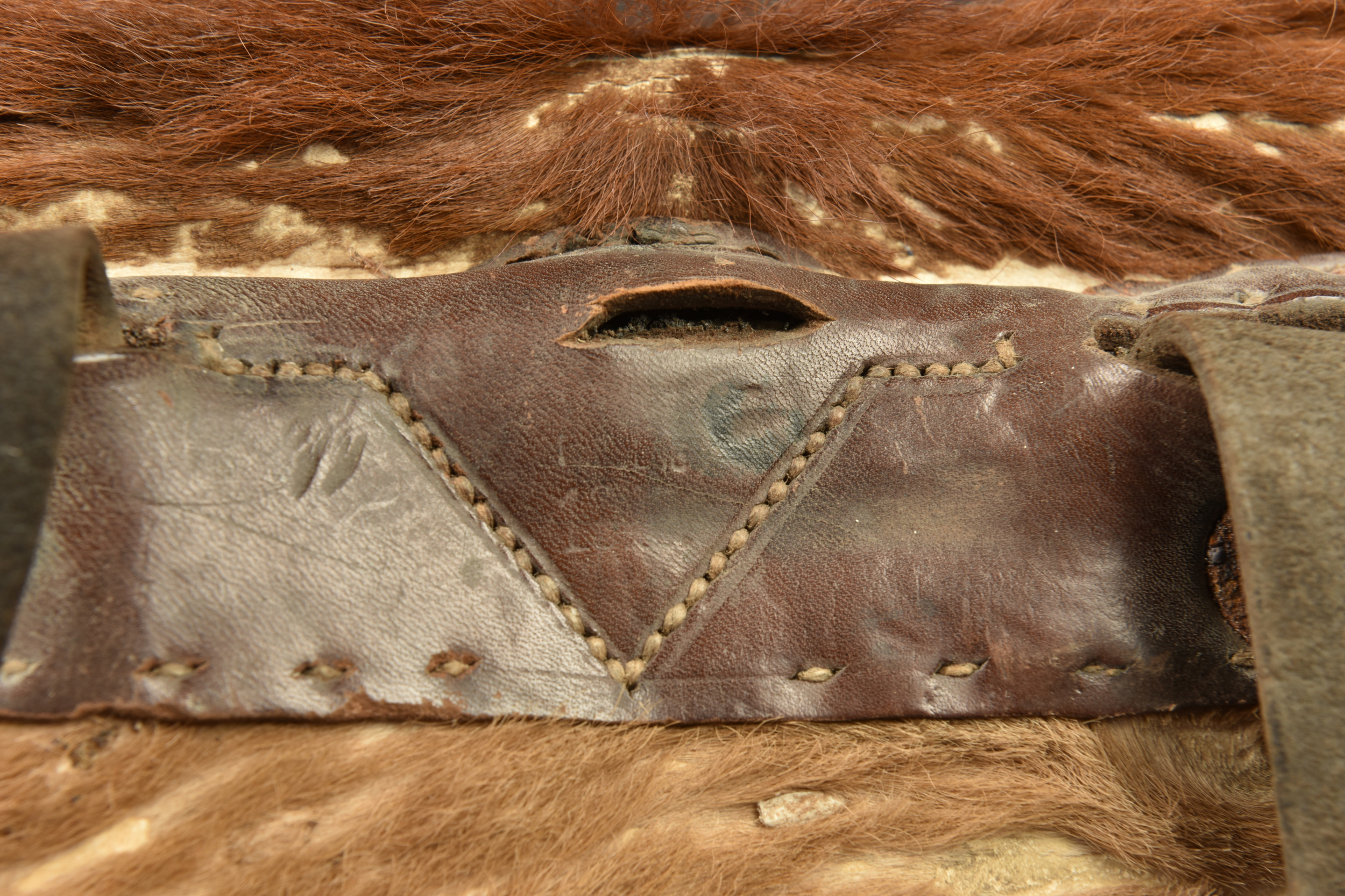 Tornister poil de vache du 100R saxon. Cowhide Tornister backpack of the Saxon 100th Infantry Regiment — photo 2