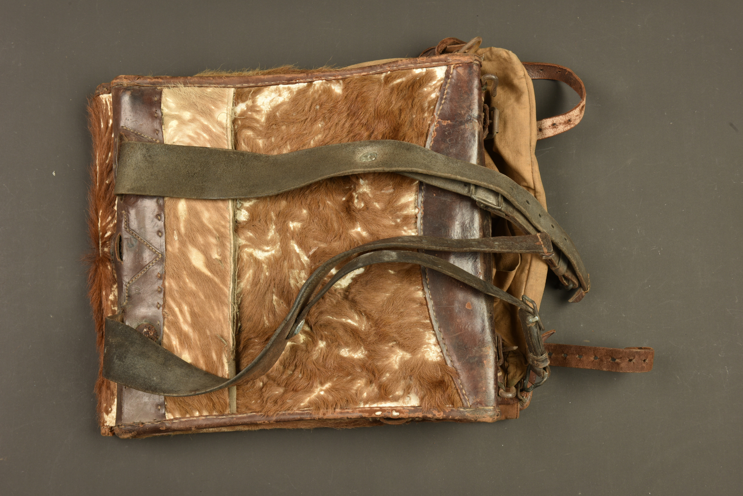 Tornister poil de vache du 100R saxon. Cowhide Tornister backpack of the Saxon 100th Infantry Regiment — photo 3