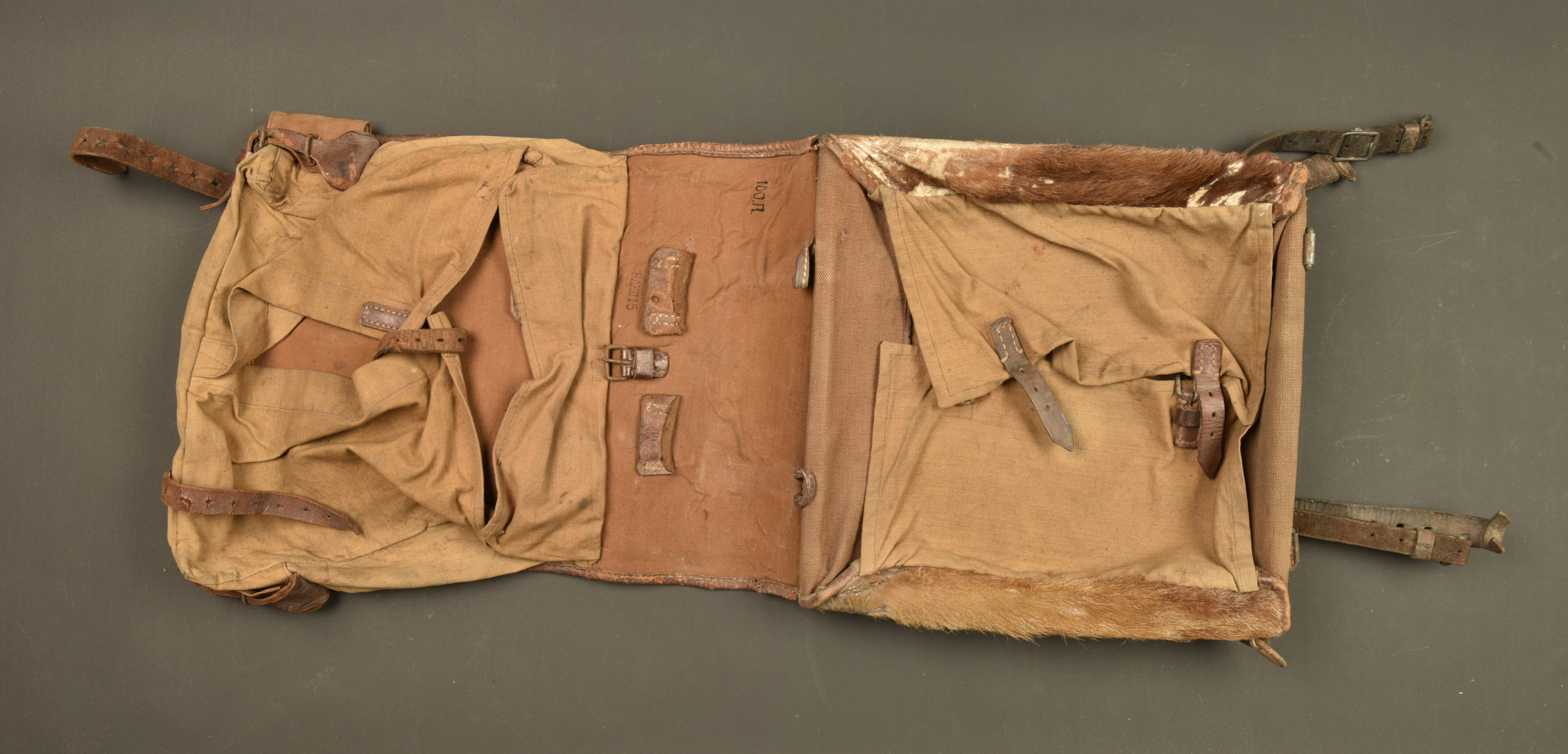 Tornister poil de vache du 100R saxon. Cowhide Tornister backpack of the Saxon 100th Infantry Regiment — photo 5