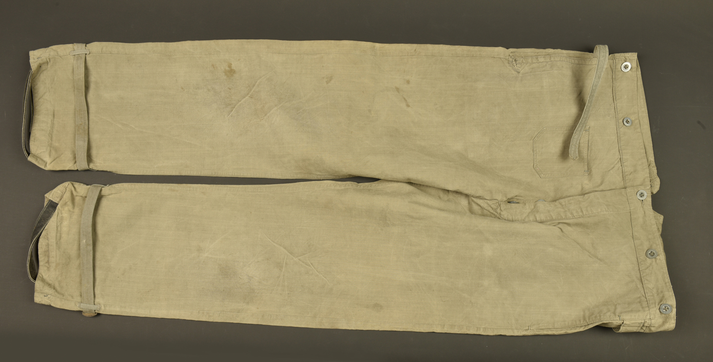 Sur pantalon allemand feldgrau. German feldgrau overtrousers. — photo 1