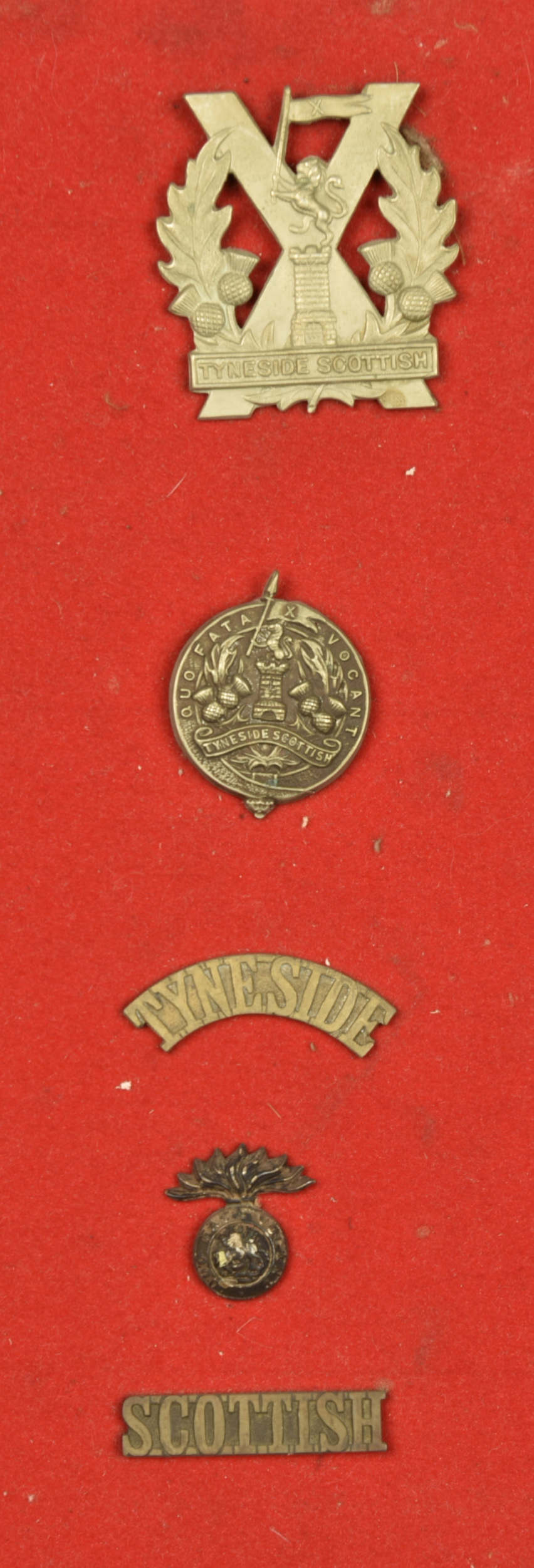Ensemble d'insignes des Tyneside Scottish. Badge grouping of the Tyneside Scottish — photo 1