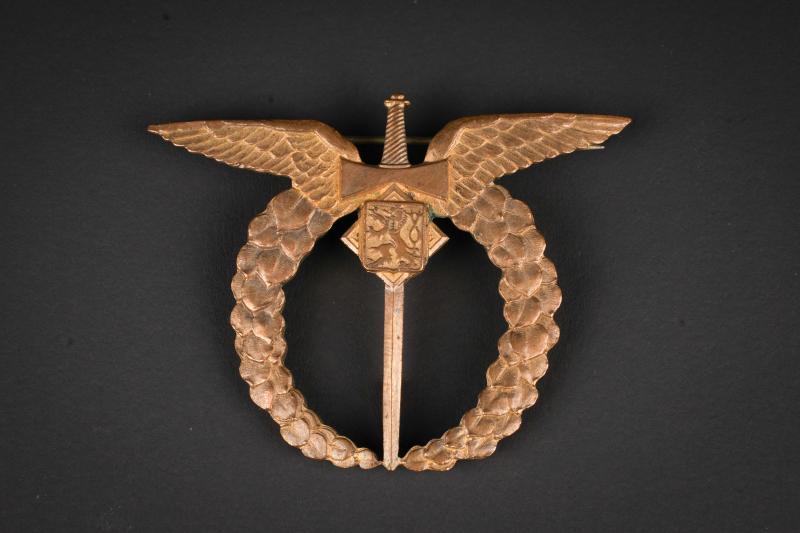 Brevet de pilote Tchèque. Czechoslovak pilot’s brevet.