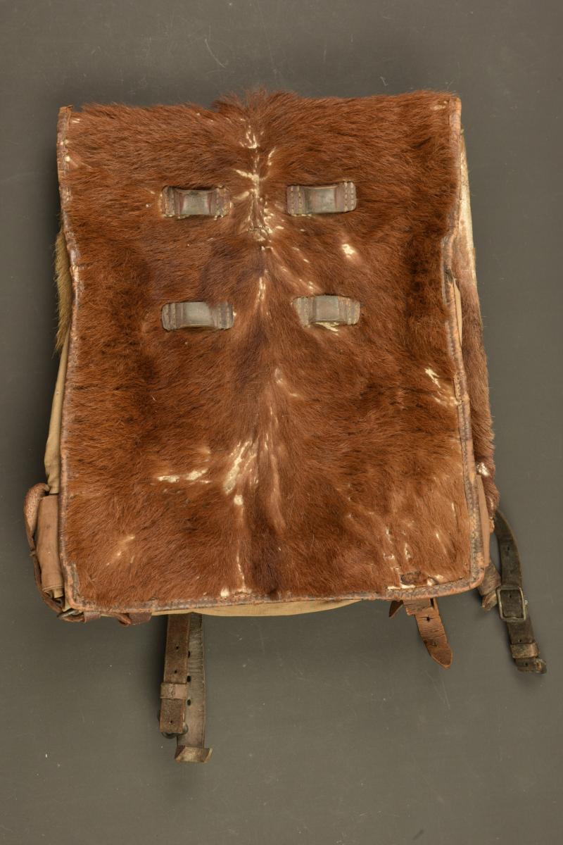 Tornister poil de vache du 100R saxon. Cowhide Tornister backpack of the Saxon 100th Infantry Regiment
