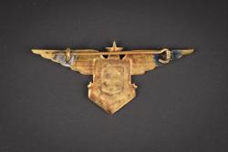 Insigne FA FL. FAFL insignia. — miniature 2