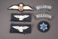 Insignes RAF Belge. Belgian RAF insignia. — miniature 1