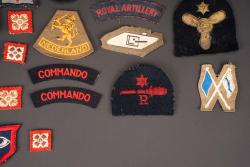 Insignes britannique. British insignias. — miniature 4