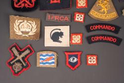 Insignes britannique. British insignias. — miniature 5