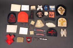 Insignes britannique. British insignias. — miniature 6