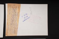 Photos de presse US. US press photographs. — miniature 6