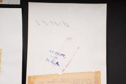 Photos de presse US. US press photographs. — miniature 9