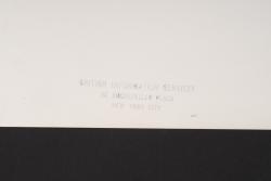 Photo Normandie Juin 1944. Normandy June 1944 press photograph. — miniature 4